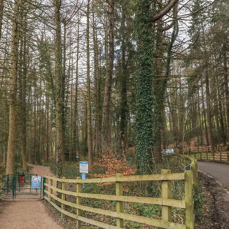 Chestnut Cottage Sheffield Dış mekan fotoğraf