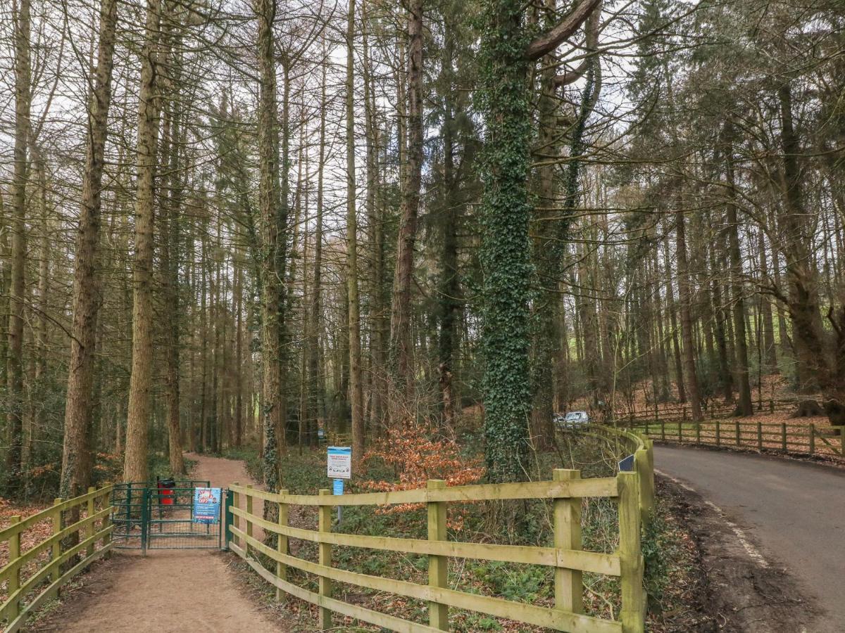 Chestnut Cottage Sheffield Dış mekan fotoğraf